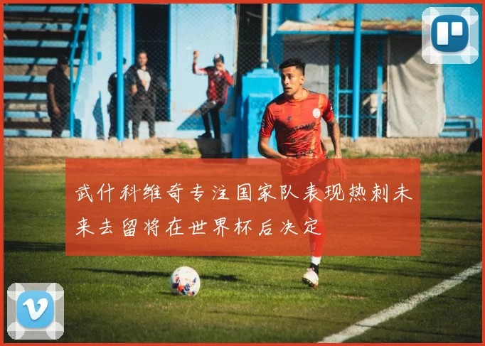 武什科维奇专注国家队表现热刺未来去留将在世界杯后决定